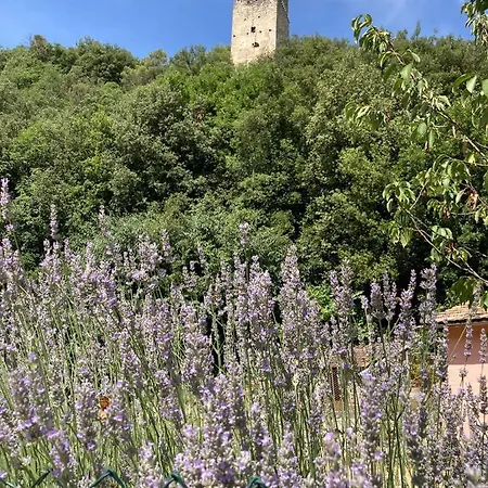 Affittacamere La Casa Dei Nonni 3*